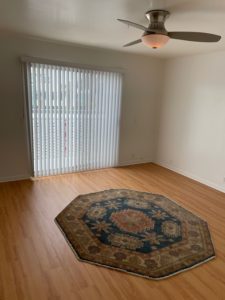 IMG_4538 (002) (480x640)