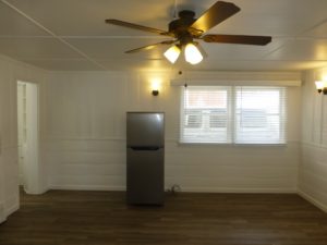 P1030226 (800x600) (800x600)