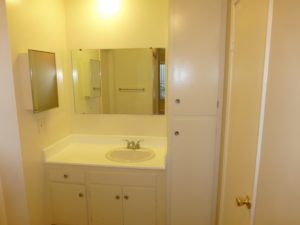 12450 CULVER RM 113 VANITY - Copy (800x600)