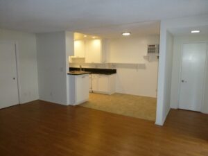 Rose 1 LR DR (800x600) (800x600)