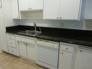 Rose 1 kitchen diswasher shot