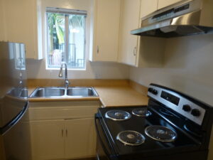 kitchen - NEW APPLIANCES