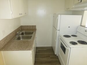 P1030328 (800x600) (800x600)