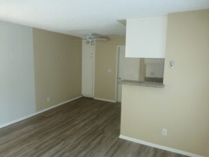 P1030329 (800x600) (800x600)