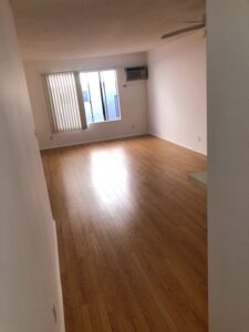 Canfield 203 view LR