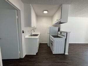 IMG_2187 (800x600) (800x600)