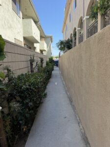 IMG_6758 (480x640)