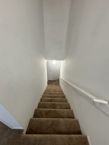 IMG_5184 (480x640)